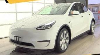 TESLA MODEL Y 2020 5YJYGDEEXLF010289 image